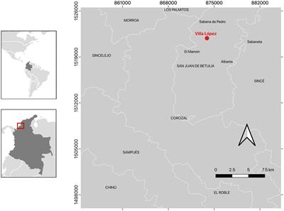 Biocultural Drivers Responsible for the Occurrence of a Cassava Bacterial Pathogen in Small-Scale Farms of Colombian Caribbean